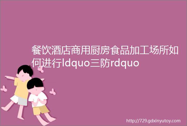 餐饮酒店商用厨房食品加工场所如何进行ldquo三防rdquo如何选购灭蝇灯和风幕机