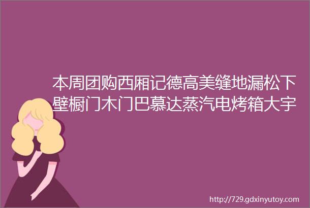 本周团购西厢记德高美缝地漏松下壁橱门木门巴慕达蒸汽电烤箱大宇微波炉松下厨电汉斯格雅唯宝