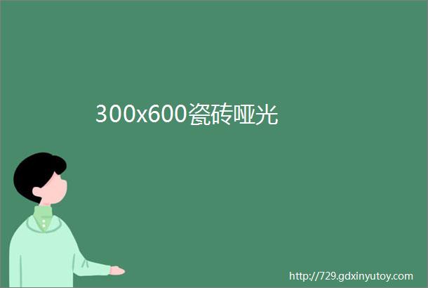 300x600瓷砖哑光