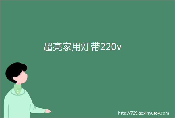 超亮家用灯带220v