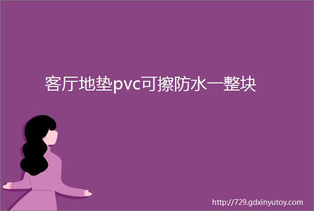 客厅地垫pvc可擦防水一整块