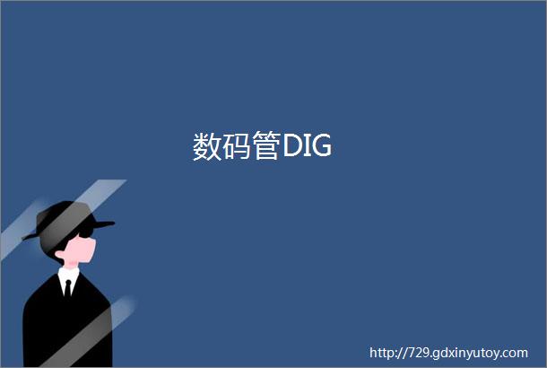 数码管DIG