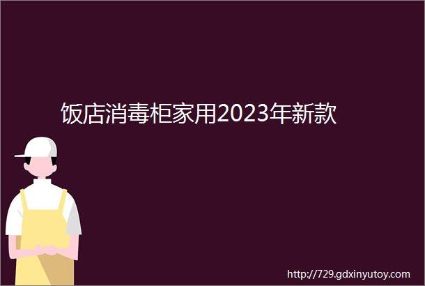 饭店消毒柜家用2023年新款