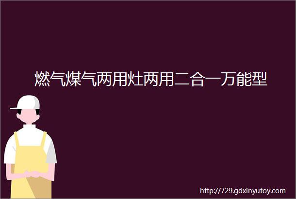 燃气煤气两用灶两用二合一万能型