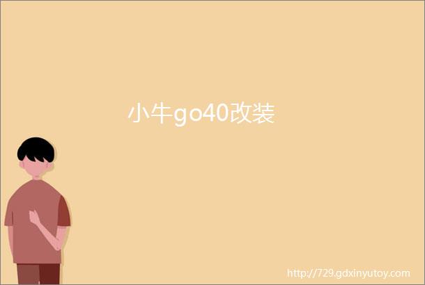 小牛go40改装