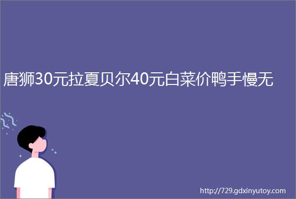 唐狮30元拉夏贝尔40元白菜价鸭手慢无