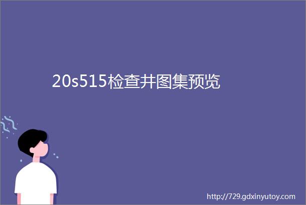 20s515检查井图集预览