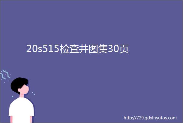 20s515检查井图集30页