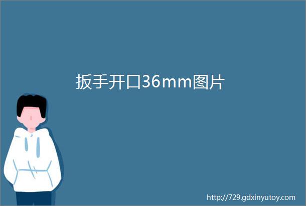 扳手开口36mm图片