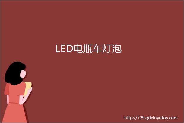 LED电瓶车灯泡