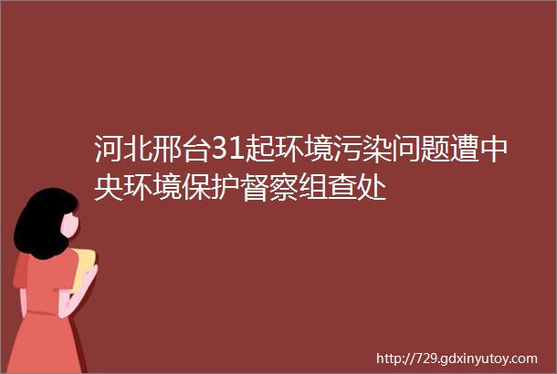 河北邢台31起环境污染问题遭中央环境保护督察组查处