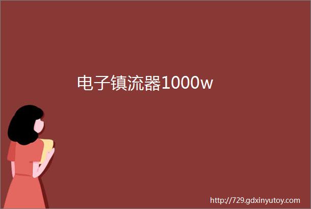 电子镇流器1000w