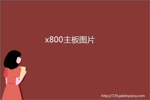 x800主板图片