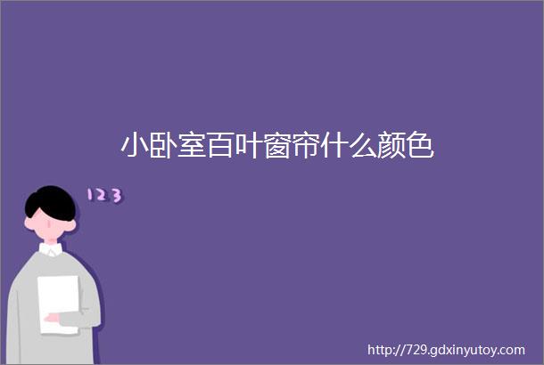 小卧室百叶窗帘什么颜色