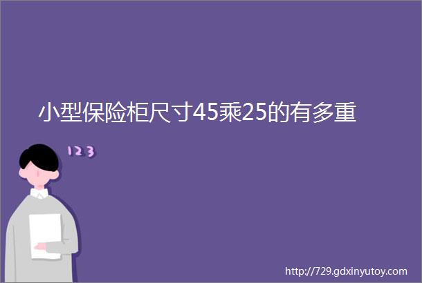 小型保险柜尺寸45乘25的有多重